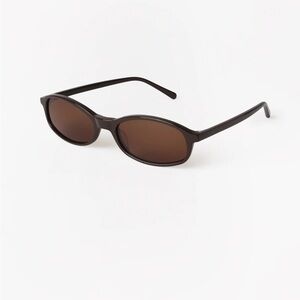 Classic Brown Sunglasses